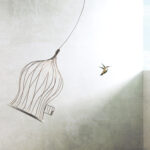 little bird flying out of bird cage, think outside the box